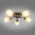 Luster  CL16173-5 PL5