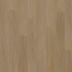 Oneflor Vinylová podlaha lepená ECO 55 064 English Oak Honey - Lepená podlaha