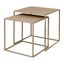 Béžové kovové konferenčné stolíky v súprave 2 ks 40x40 cm Fera – Blomus