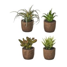 Umelé rastliny v súprave 4 ks (výška 10 cm) Cactus – Casa Selección