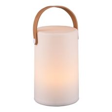 LED solárne vonkajšie svietidlo na diaľkové ovládanie (výška 21 cm) Aruba – Trio