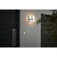 Eglo 33574 - LED Stmievateľné nástenné svietidlo TORAZZA-C LED/14W/230V IP44