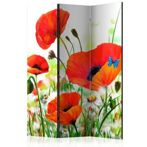 Paraván Country poppies Dekorhome 135x172 cm (3-dielny)