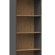 TP Living Knižnica R60 antracit/dub artisan