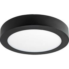 LED Stropné svietidlo FENIX LED/12W/230V 3800K  pr. 17 cm