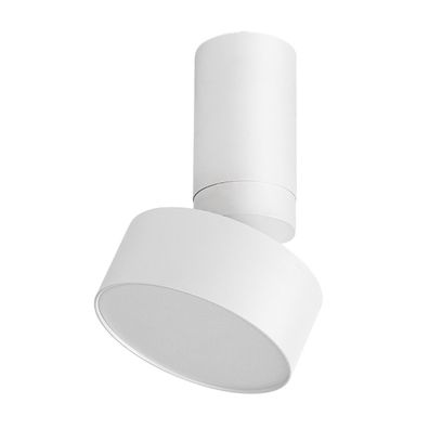 Rabalux 71326 - LED Stropné svietidlo OVIDIA LED/10W/230V 3000K biela