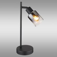 Lampa Hubertus 54308T LB1