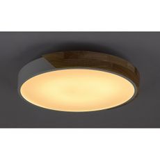 Rabalux 3527 - LED Stropné svietidlo MAPLE LED/24W/230V biela