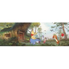 Disney FOTOTAPETA velikost: 368/127 cm
