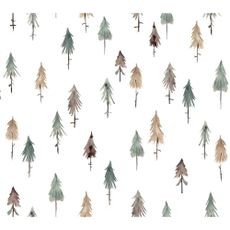 Detská tapeta 10 m x 50 cm Pine Woods – Lilipinso