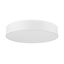 Eglo 32351 - LED RGBW Stmievateľné stropné svietidlo ROMAO-C LED/42W/230V + DO