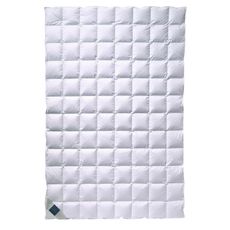 Billerbeck LETNÁ PRIKRÝVKA, 135/200 cm, páperie