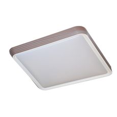 Rabalux 71166 - LED Stropné svietidlo DRUZOR LED/40W/230V 3000K