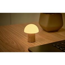 LED stolová lampa z jaseňového dreva so stmievačom v prírodnej farbe (výška 7 cm) Alice – Gingko