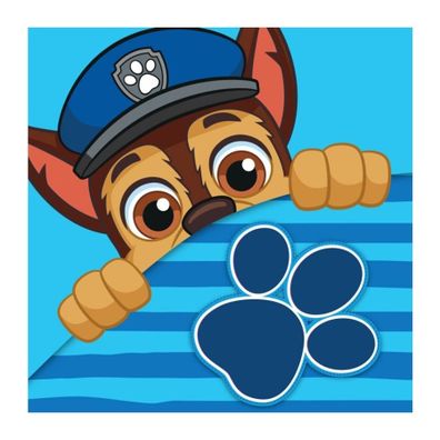 Detský / chlapčenský magický uterák Labková patrola - Paw Patrol - 100% bavlna - 30 x 30 cm