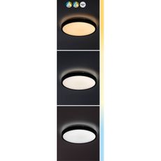 Rabalux 71438-LED Stm. kúp. stropné svietidlo ALENZO LED/24W/230V IP44 čierna +DO