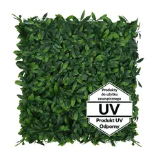 Artificial Green Wall Laurowisnia UV 50x50cm