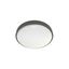 LED Stropné svietidlo so senzorom WILTON LED/24W/230V 4000K