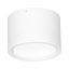 LED Stropné svietidlo LED/16W/230V biela pr. 12 cm