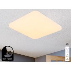 LED Stmievateľné stropné svietidlo s hlasovým ovládaním OPAL LED/48W/230V + DO