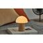 Stmievateľná stolová lampa v prírodnej farbe so skleneným tienidlom (výška 13 cm) Alice – Gingko