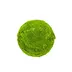 Decorative Moss Ball 35 cm