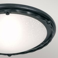 Elstead PB-F-B-BLACK - Stropné svietidlo PEMBROKE 1xE27/60W/230V čierna