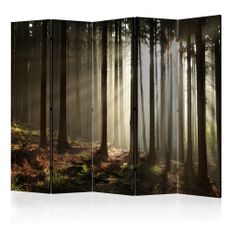 Paraván Coniferous forest Dekorhome 225x172 cm (5-dielny)