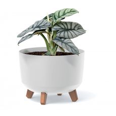 NABBI DGRL400 plastový kvetináč na nožičkách 39 cm antracit