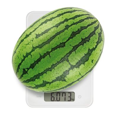 Digitálna kuchynská váha ACCURA15.0 kg