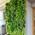 Vertical garden Hanging Gardens