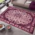 Hanse Home Collection koberce AKCIA: 80x150 cm Kusový orientálny koberec Chenile rugs Q3 104748 Berry - 80x150 cm