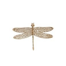 Kovová nástenná dekorácia 36x24 cm Dragonfly – Light & Living