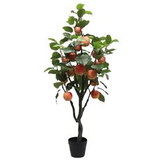 Ambia Home UMELÁ RASTLINA jablko 122 cm