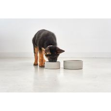 Porcelánová miska pre psa ø 20 cm Scodella Greige M/L – MiaCara