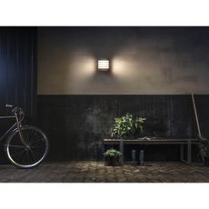 Philips 17273/93/16 - LED vonkajšie osvetlenie MYGARDEN RACCOON 1xLED/3W/230V