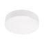 Emithor 63211 - LED Stropné svietidlo SURFACE 1xLED/10W/230V