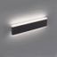 Paul Neuhaus 9484-13 - LED Stmievateľné vonkajšie svietidlo ELSA 2xLED/9W/230V IP65