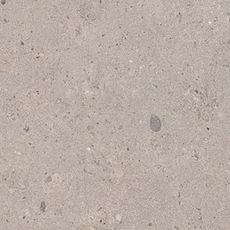 Dlažba Pastorelli Biophilic grey 30x60 cm mat P009500