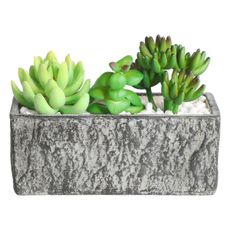 Eglo 428009 - Umelá rastlina v kvetináči CHITOSE 14,5x17,8 cm sukulent