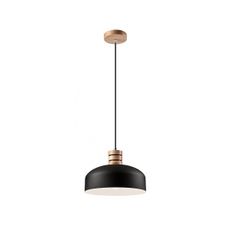 Luster na lanku 1xE27/60W/230V