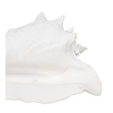 Soška z polyresínu (výška 13 cm) Seashell – Ixia