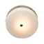 Elstead TAMAR-F-M-PG-LED Kúpeľňové stropné svietidlo TAMAR 1xGX53/5,7W/230V IP44