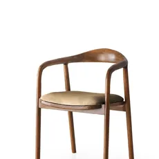 Kalune Design Jídelní židle PA z masivu světle hnědá/přírodní hnědá
