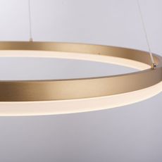 Paul Neuhaus 2382-60 - LED Stmievateľný luster na lanku TITUS LED/38,5W/230V