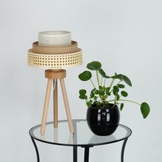 Brilagi - Stolná lampa CEDAR LUNETA 1xE27/15W/230V ratan/hnedá/krémová