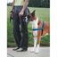 PetSafe Postroj EasyWalk Deluxe modrý veľkosť M