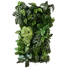 Vertical garden Funky Monkey