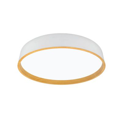 XXXL STROPNÉ LED SVIETIDLO, 50/8 cm