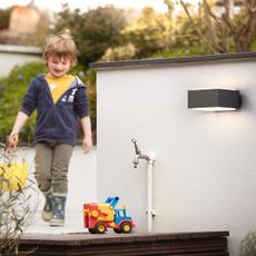 Philips 17337/93/PN - Vonkajšie svietidlo MYGARDEN HEDGEHOG 1xE27/42W/230V IP44